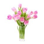 Pink Tulip Bouquet