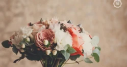 Fleuriste & Box Bouquet : l’art d’offrir des émotions florales